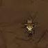 How To Destroy A Spider Nest Don T Starve