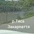 Ужас Против Украинских ухилянтов в Закарпатья построили возле реки Тиса забор из колючей проволоки