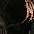 NYTT LAND RITUAL Full Album 2021 Siberian Shamanic Ritual Songs Vikings Era Music