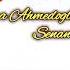 Qara Ahmedoglu Ft Senan Yevlaxli Neyime Gerekdir 2020
