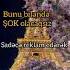 Music Aicover Remix Love Ytdayibenionecikarnolur Beauty Livegood Study Duet Qashqirlarmak