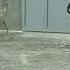Kendin Kaşındın Https Youtu Be He85qv7 Bxc Https Youtu Be He85qv7 Bxc SUBSCRİBE