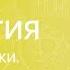 Биология 6 класс Строение клетки Прокариоты
