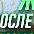 Вопросы о вечности Жизнь после смерти Осипов А И