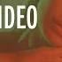 Janieck Northern Lights Official Music Video