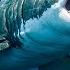 Shark Marathon 2025 HORRIFYING Attack S No One Saw Coming