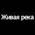 Внутренняя инженерия Садхгуру Смысл жизни