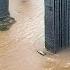 China Is Drowning 3 Dams Have Collapsed Entire Houses Are Under Water Evacuation