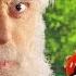 Ash Ketchum Vs Charles Darwin Epic Rap Battles Of History