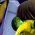 Ninja Turtle Mikey Meets His Comic Book HEROES W Casey Full Scene Teenage Mutant Ninja Turtles