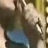 GOLDEN HARVEST 1978 I Need Your Love