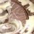 V Carve Inlays Detailed How To