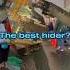 The Best Hider Hider Besthider Edit Shorts