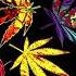 The Best Music To Listen To While High Smoking Weed