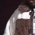 Dk2fois Denda Clip Officiel