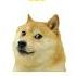 я рублю точно я рублю верно Dog Doge хочуврек