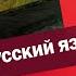 Кошмарят за русский язык Пишут доносы угрожают расправой ЯсноПонятно 983 By Олеся Медведева