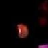 Daan Junior Live At Lucky7 Club Newark NJ February 18th 2012 Video2