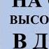 УГОЩЕНИЕ ДЛЯ ДОМОВОГО НА САМОЕ ВЫСОКОЕ МЕСТО В ДОМЕ