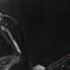 Stevie Ray Vaughan Life By The Drop