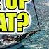 The Truth About My Crew My Boat And What S Next