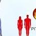 Find Your Body Type A Comprehensive Guide To Vata Pitta Kapha