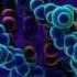 The Structure Of DNA