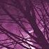 Vixoria Drift Vivid Full Mashup Album
