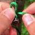 Convenient Techniques For Tying A Clothesline To A Nail