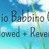 R Pansino O Mio Babbino Caro Slowed Reverb IKarlie