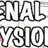 Endocrinology Adrenal Gland Hormones