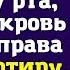 Невестка застыла с вилкой у рта когда свекровь заявила права на её квартиру