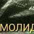 УСТОЗ ЖАМОЛИДДИН КОРИ ТУРТКУЛ МАСЖИДИДАГИ 1980 1994 ЙИЛГИ МАРУЗАЛАРИ 1 ЧИ КИСИМ