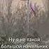 Приколы с ТикТока Чечня