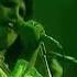Queen Live At The Hammersmith Odeon 1975 Full Concert 60 FPS