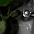EVERY DROP COUNTS WORLD WATER DAY AURORA CREATION