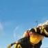 Bee Movie With DUN DUN DUUUUNNNN Dramatic Sound
