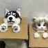 Cute Cat Videos Cat Videos Compilation 2022 161 Funny Cat Videos2022 Atb Animal Videos