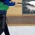 Snow Dingers