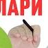КЎНГИЛ АЙНАШИ ХАФВЛИ БЕЛГИМИ 20 САБАБ Исчанов