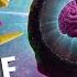 R E P O MADE MY BRAIN SMALLER