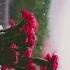 ШУМ ЗВУКИ ДОЖДЯ Дождь для сна Rain Sounds For Relaxation And Sleep звукдождя шумдождя