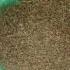 Gurez Famous Black Cumin Seeds Go Gurez Shena Songs Gurez Valley