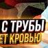 Тэсси истекает кровью сгрызла катетор Досе удаляют глазик Мила стала еще послушнее