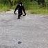 Munki Turns Out To Be Prvnci Aka Venom In Real Life
