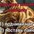 Я заставлю заболеть твою ногу