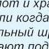 Слова песни Гражданская оборона Песня о циркаче