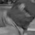Bboy Thors Teaser 2008