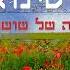 גל סינואני שדה של שושנים