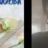 Таира Муспахова Яргунат Песня из фильма Къайи рагъ Soyuq Günəş